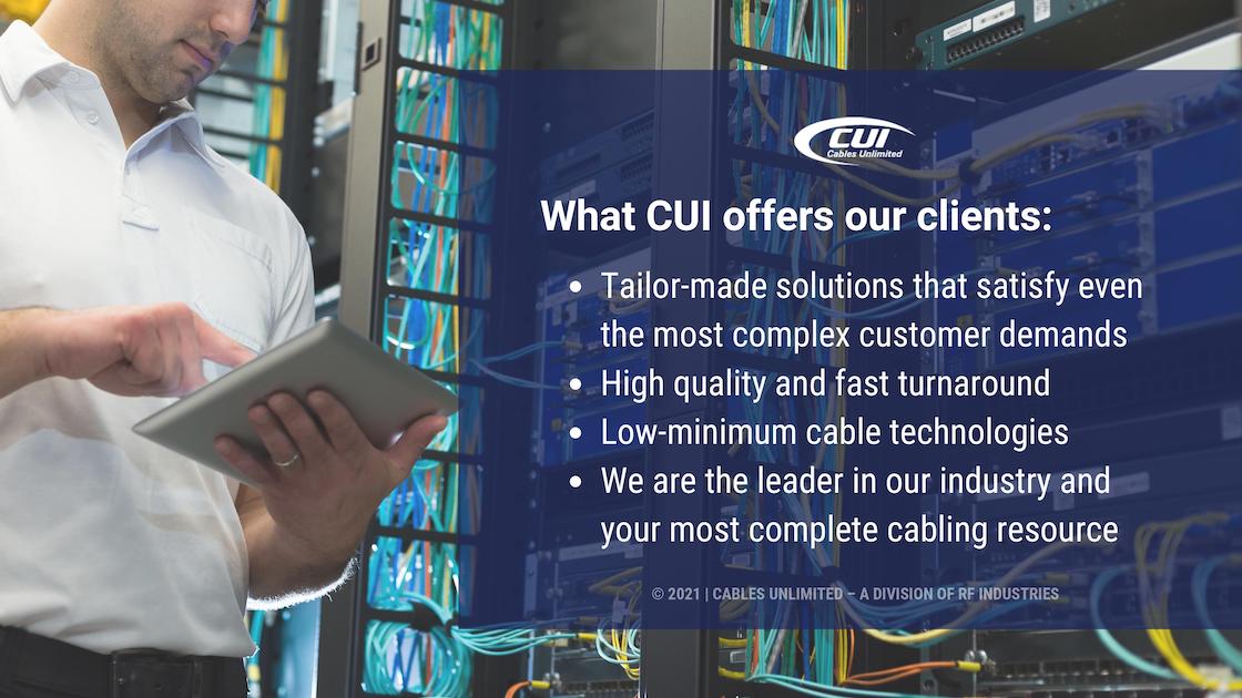 Callout 2- What CUI offers our clients with list of services