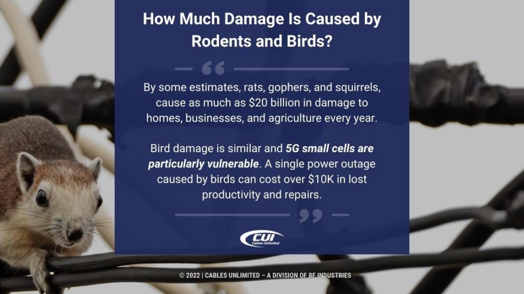 Callout 1: Rodent on cables -How Much Damage is Done by Rodents and Birds? - 2 facts