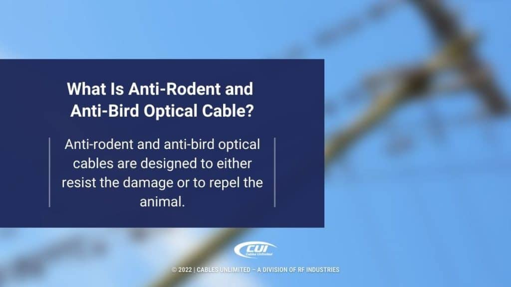 Callout 2: What Is Anti-Rodent and Anti-Bird Cable? - Definition given