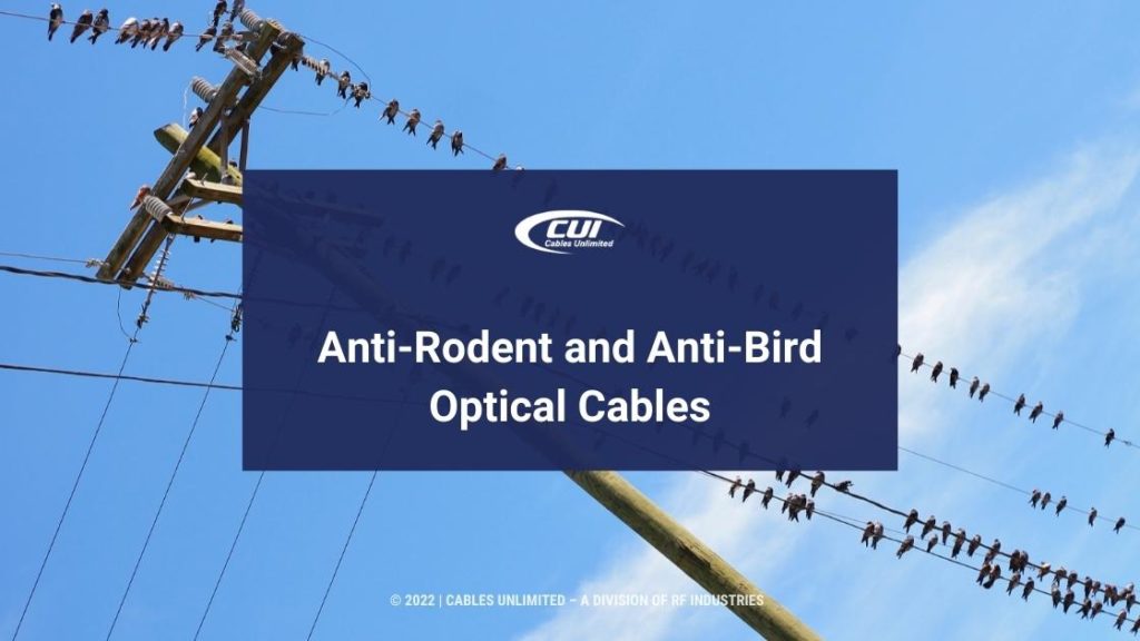 Featured: Birds On Telephone Wires - Anti-Rodent And Anti-Bird Optical Cables