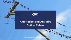 Featured: Birds on telephone wires - Anti-Rodent and Anti-Bird Optical Cables