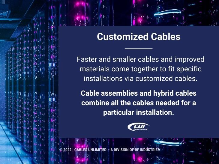 Callout 4: Network server- Customized cables - 2 facts listed